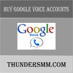 how do i access my google voice account